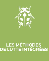 Les méthodes de lutte intégrées