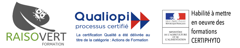 Capture d’écran 2025-11-03 à 08.40.27